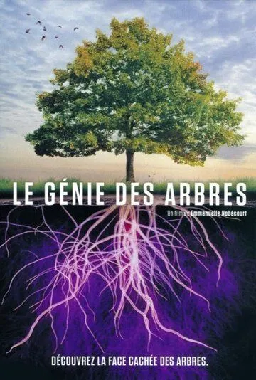 Деревья: гении мира природы / Le génie des arbres (2020) фильм скачать через торрет бесплатно в хорошем качестве