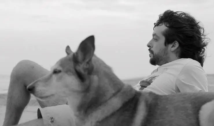 Собака не перестанет лаять (2021) в хорошем качестве скачать торрент файл Собака не перестанет лаять (2021) фильм в хорошем качестве скачать торрент файл