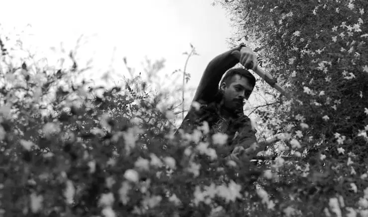 Собака не перестанет лаять (2021) скачать торрент файл Собака не перестанет лаять (2021) фильм скачать торрент файл