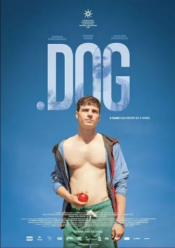 .собака / .dog (2021) фильм скачать через торрет бесплатно в хорошем качестве