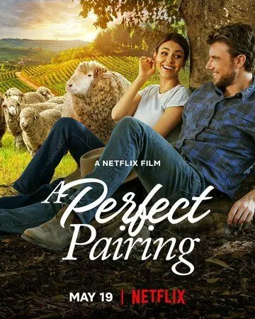 Идеальное сочетание / A Perfect Pairing (2022) фильм скачать через торрет бесплатно в хорошем качестве