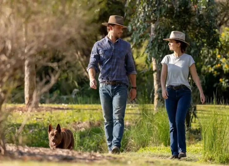 Идеальное сочетание (2022) скачать торрент бесплатно Идеальное сочетание (2022) фильм скачать торрент бесплатно