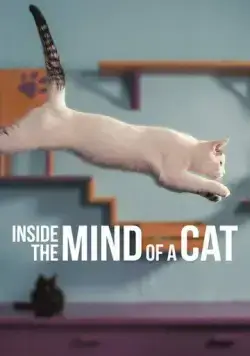 Внутри разума кошки / Inside the Mind of a Cat (2022) фильм скачать через торрет бесплатно в хорошем качестве