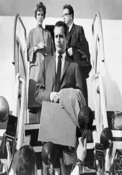 Разорванный занавес (1966) скачать торрент бесплатно Разорванный занавес (1966) фильм скачать торрент бесплатно