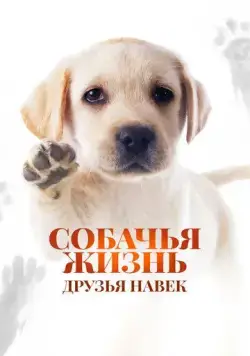 Собачья жизнь: Друзья навек / Zai jian, Li Kele (2023) фильм скачать через торрет бесплатно в хорошем качестве