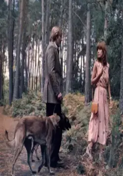 Собаки (1978) скачать торрент бесплатно Собаки (1978) фильм скачать торрент бесплатно