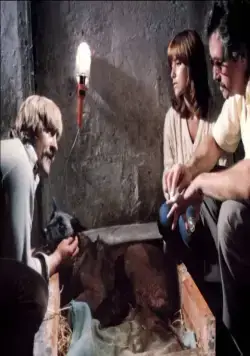 Собаки (1978) в хорошем качестве скачать торрент файл Собаки (1978) фильм в хорошем качестве скачать торрент файл