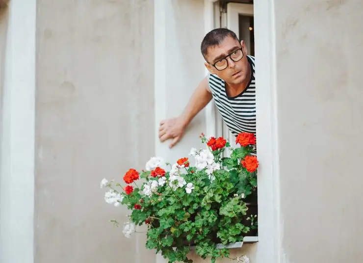 Та ещё семейка (2022) скачать торрент файл Та ещё семейка (2022) фильм скачать торрент файл