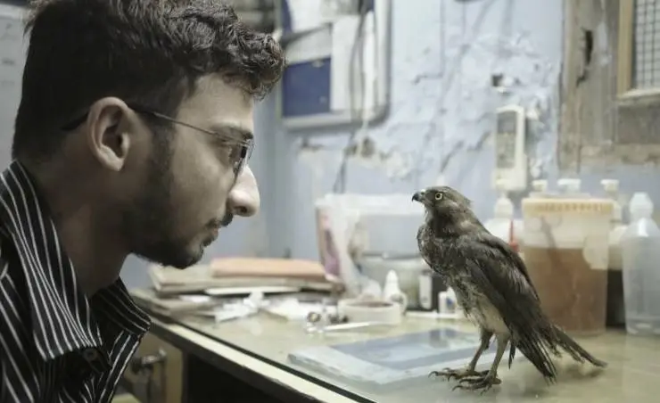 Всё, что дышит (2022) скачать торрент файл Всё, что дышит (2022) фильм скачать торрент файл