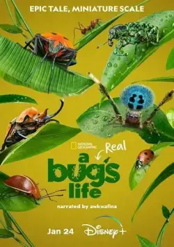 Приключения настоящего Флика / A Real Bug's Life (2024) cериал скачать через торрет бесплатно в хорошем качестве