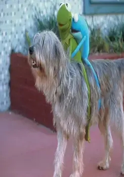 Лягушонок Кермит: Годы в болоте (2002) скачать торрент файл Лягушонок Кермит: Годы в болоте (2002) фильм скачать торрент файл