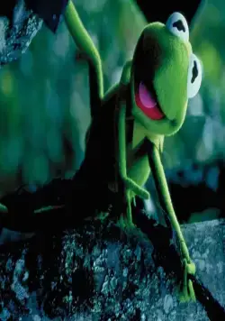 Лягушонок Кермит: Годы в болоте (2002) в хорошем качестве скачать торрент файл Лягушонок Кермит: Годы в болоте (2002) фильм в хорошем качестве скачать торрент файл