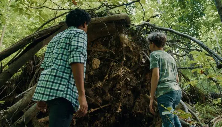 Затерянный компас (2022) в хорошем качестве скачать торрент файл Затерянный компас (2022) фильм в хорошем качестве скачать торрент файл