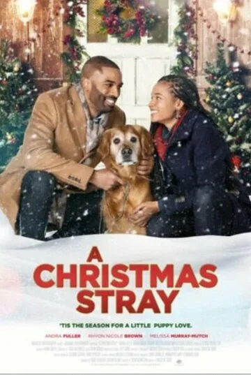 Рождественская дворняжка / A Christmas Stray (2021) фильм скачать через торрет бесплатно в хорошем качестве