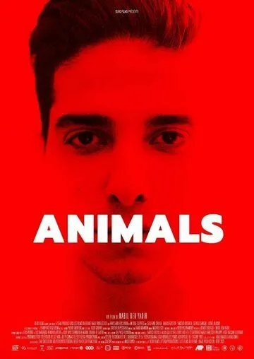 Животные / Animals (2021) фильм скачать через торрет бесплатно в хорошем качестве