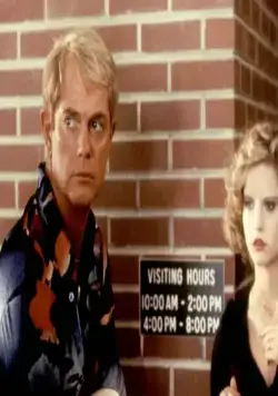 Грэндвью, США (1984) скачать торрент файл Грэндвью, США (1984) фильм скачать торрент файл