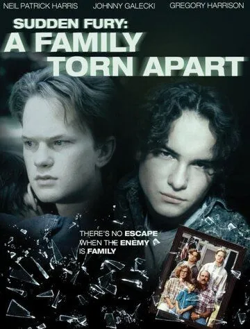 Внезапная ярость / A Family Torn Apart (1993) фильм скачать через торрет бесплатно в хорошем качестве
