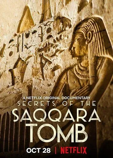 Тайны саккарских гробниц / Secrets of the Saqqara Tomb (2020) фильм скачать через торрет бесплатно в хорошем качестве