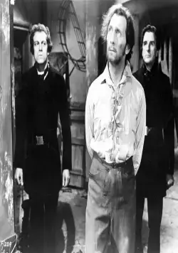 Проклятие Франкенштейна (1957) скачать торрент бесплатно Проклятие Франкенштейна (1957) фильм скачать торрент бесплатно