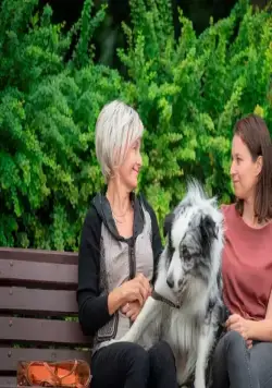 Знакомьтесь, пёс (2022) скачать торрент бесплатно Знакомьтесь, пёс (2022) фильм скачать торрент бесплатно