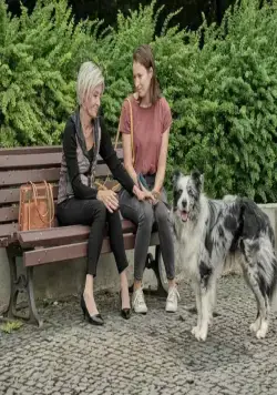 Знакомьтесь, пёс (2022) скачать торрент файл Знакомьтесь, пёс (2022) фильм скачать торрент файл