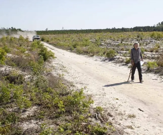 Провинция ночи (2010) скачать торрент файл Провинция ночи (2010) фильм скачать торрент файл