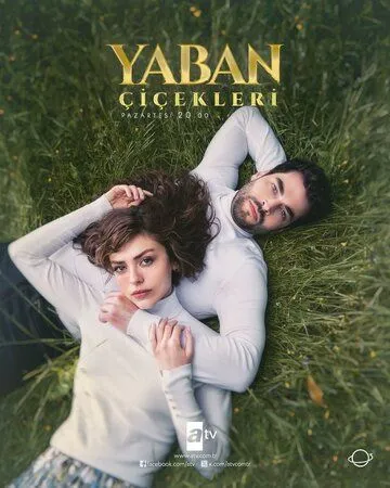 Дикие цветы / Yaban Çiçekleri (2024) cериал скачать через торрет бесплатно в хорошем качестве