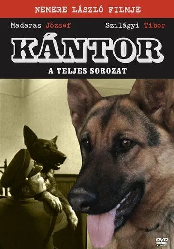 Кантор - собака-детектив / Kántor (1976) cериал скачать через торрет бесплатно в хорошем качестве