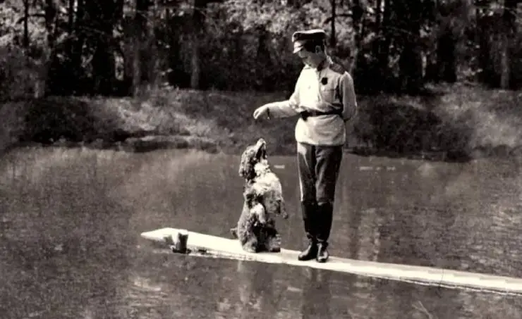 Цареубийство. Следствие длиною в век (2019) 1 сезон 1-1,2,3 серия в хорошем качестве скачать торрент файл Цареубийство. Следствие длиною в век (2019) сериал 1-1,2,3 серию 1 сезона в хорошем качестве скачать торрент файл