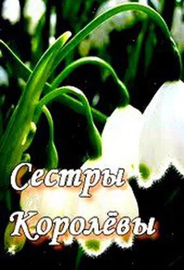 Сестры Королевы (2010) cериал скачать через торрет бесплатно в хорошем качестве