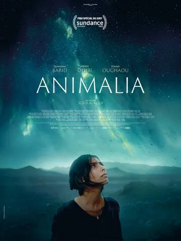 Анималия / Animalia (2023) фильм скачать через торрет бесплатно в хорошем качестве