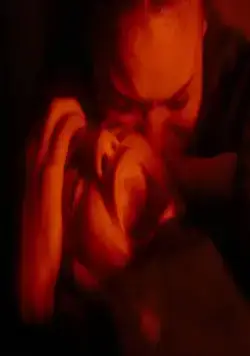 Паутина страха (2023) в хорошем качестве скачать торрент файл Паутина страха (2023) фильм в хорошем качестве скачать торрент файл