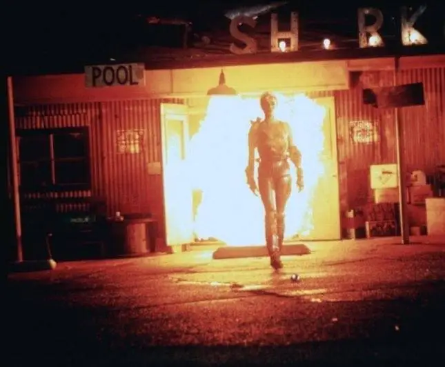 Галактика (1995) скачать торрент бесплатно Галактика (1995) фильм скачать торрент бесплатно