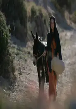 Путешествие в Вифлеем (2023) скачать торрент бесплатно Путешествие в Вифлеем (2023) фильм скачать торрент бесплатно