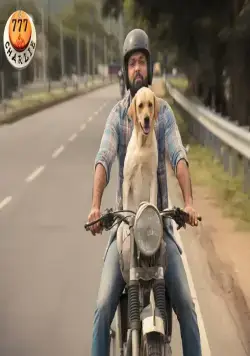 777 Чарли (2022) скачать торрент файл 777 Чарли (2022) фильм скачать торрент файл