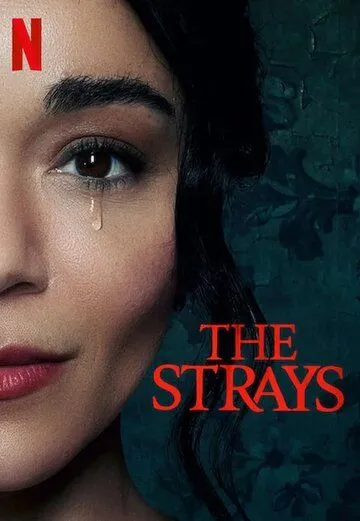 Бродяги / The Strays (2023) фильм скачать через торрет бесплатно в хорошем качестве