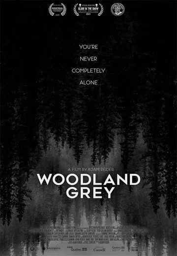Серый лес / Woodland Grey (2021) фильм скачать через торрет бесплатно в хорошем качестве
