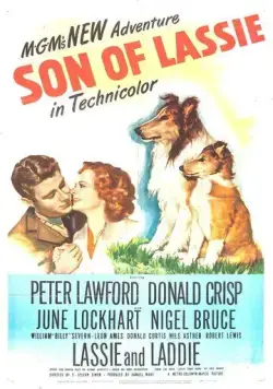 Сын Лесси / Son of Lassie (1945) фильм скачать через торрет бесплатно в хорошем качестве