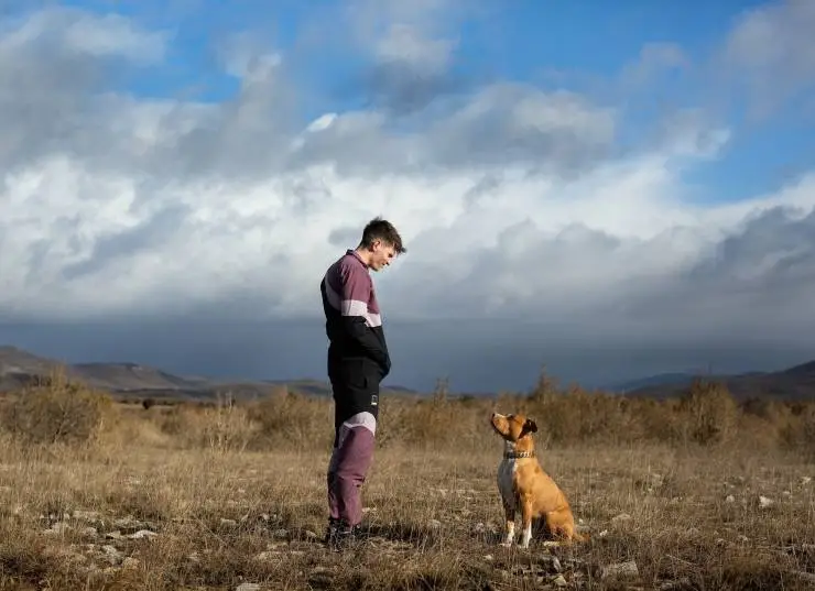 Цепной пёс (2023) скачать торрент файл Цепной пёс (2023) фильм скачать торрент файл