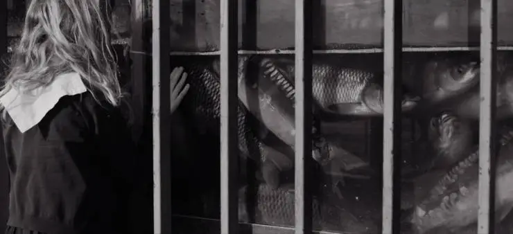 Бебиа, по моему единственному желанию (2021) скачать торрент бесплатно Бебиа, по моему единственному желанию (2021) фильм скачать торрент бесплатно