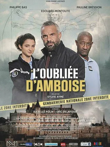 Пропавшая в Амбуазе / L'oubliée d'Amboise (2022) фильм скачать через торрет бесплатно в хорошем качестве