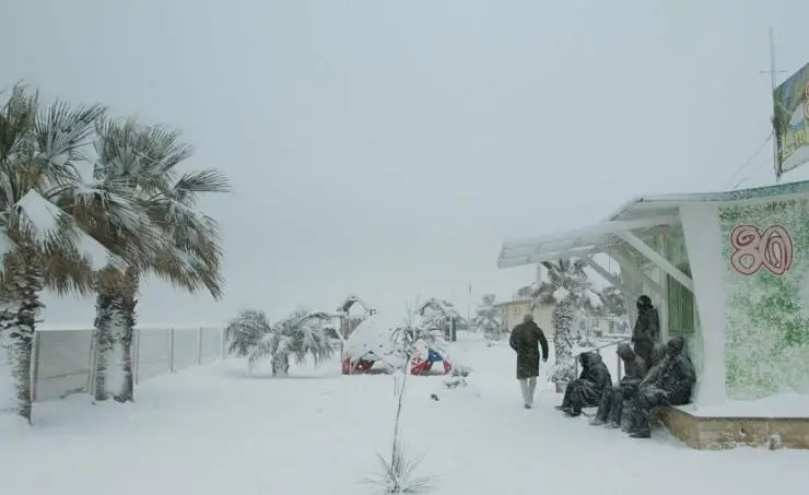 Римини (2022) скачать торрент файл Римини (2022) фильм скачать торрент файл