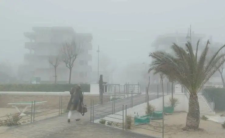 Римини (2022) скачать торрент бесплатно Римини (2022) фильм скачать торрент бесплатно