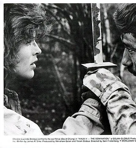 Ниндзя III: Господство (1984) скачать торрент бесплатно Ниндзя III: Господство (1984) фильм скачать торрент бесплатно