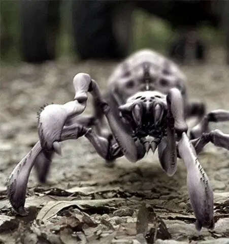 Паучий удар (2012) скачать торрент файл Паучий удар (2012) фильм скачать торрент файл