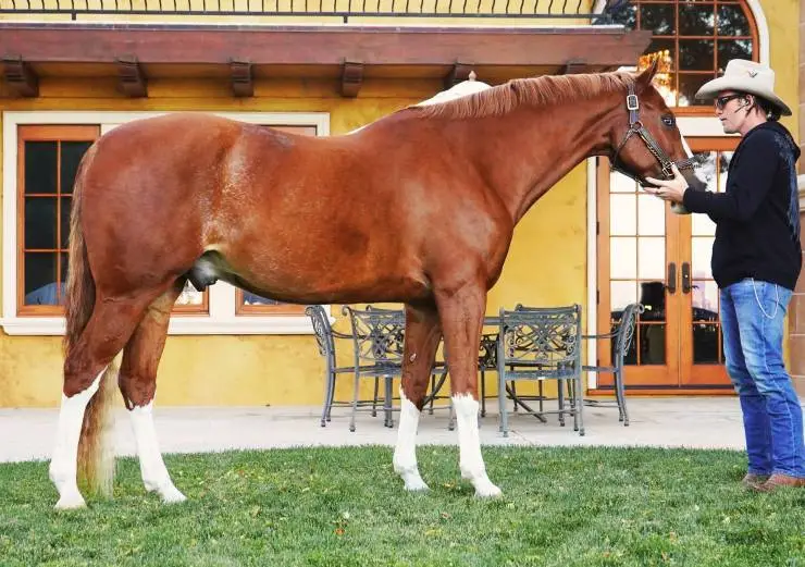 9 жизней (2022) скачать торрент файл 9 жизней (2022) фильм скачать торрент файл