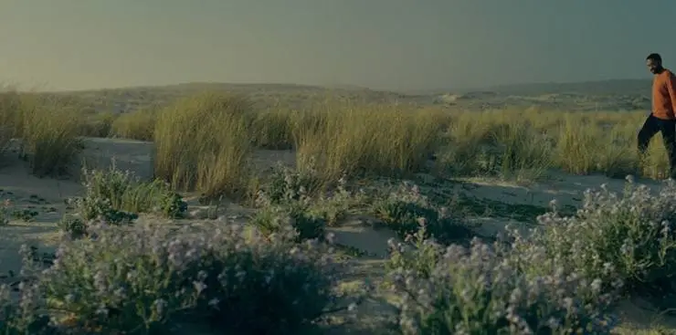 Капсульное поколение (2023) в хорошем качестве скачать торрент файл Капсульное поколение (2023) фильм в хорошем качестве скачать торрент файл