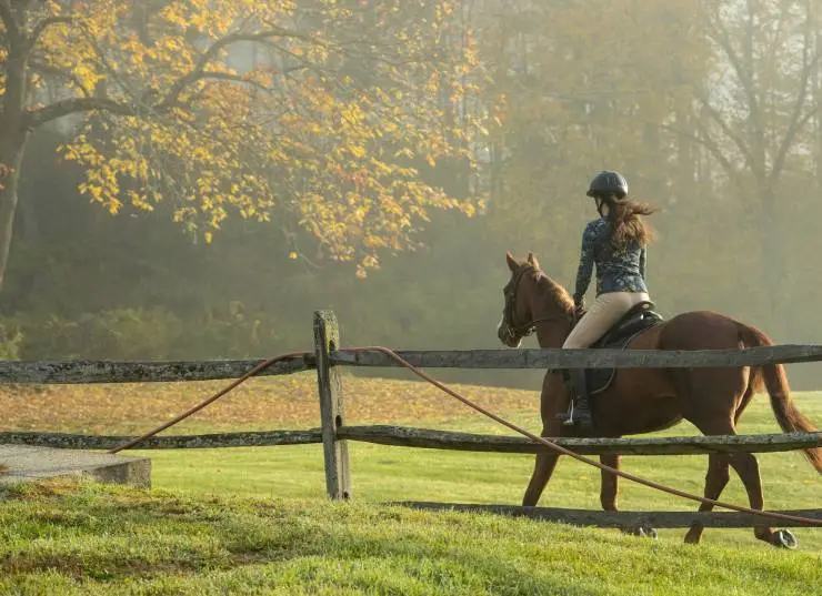 Галопом к мечте (2022) скачать торрент бесплатно Галопом к мечте (2022) фильм скачать торрент бесплатно