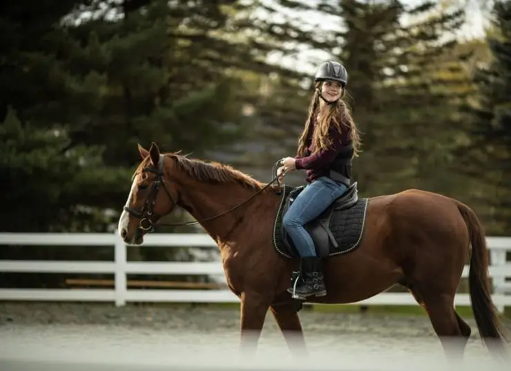Галопом к мечте (2022) скачать торрент файл Галопом к мечте (2022) фильм скачать торрент файл