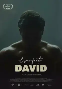 Идеальный Давид / El perfecto David (2021) фильм скачать через торрет бесплатно в хорошем качестве